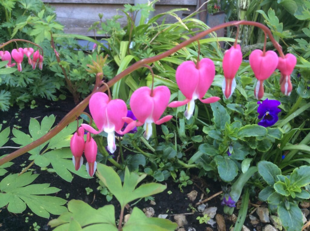 Spring!