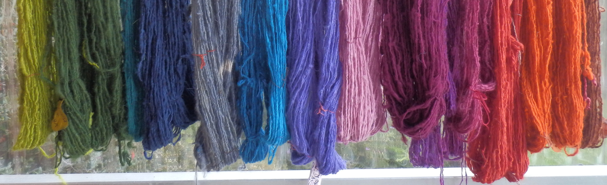 Hand-dyed yarn skeins in a rainbow of colours.