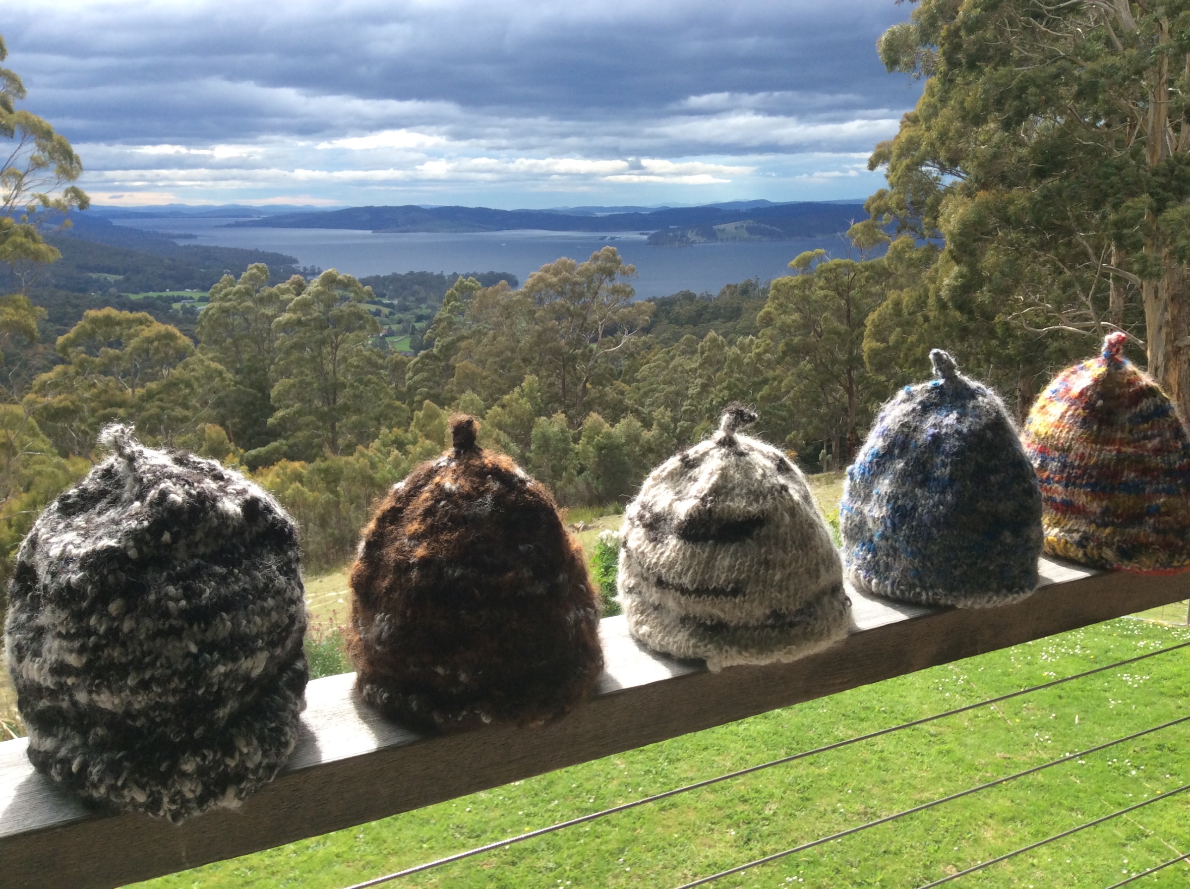 Beanies on the veranda